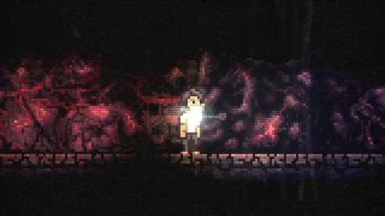 Lone Survivor: The Director's Cut — Screenshots