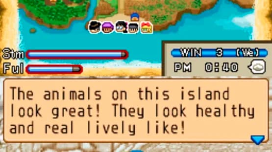 Harvest Moon DS: Island of Happiness — Screenshoty