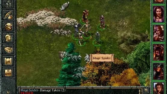 Baldur's Gate — Screenshoty