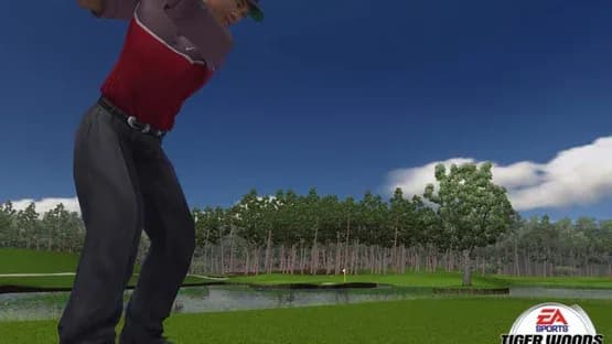 Tiger Woods PGA Tour 2005 — Screenshoty