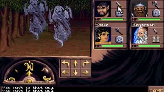 Eye of the Beholder III: Assault on Myth Drannor — Screenshoty