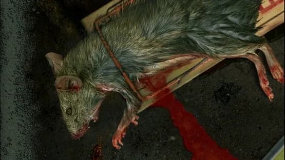 Bad Mojo: Redux — Screenshoty