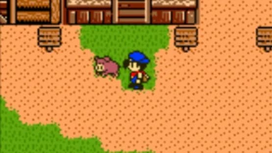 Harvest Moon 3 GBC — Screenshoty