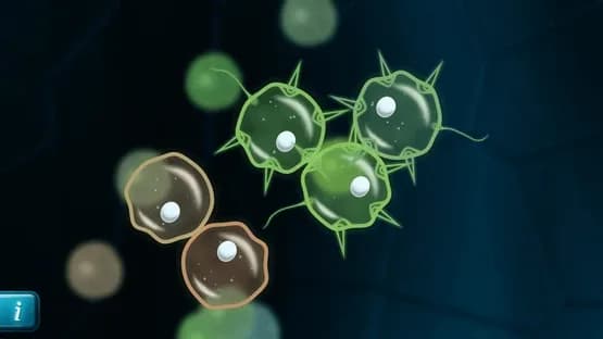 Mitosis — Screenshoty