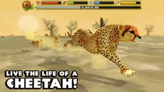 Cheetah Simulator — Screenshoty