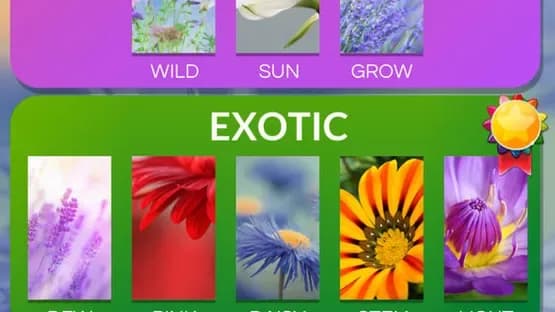 Word Flowers — Screenshoty