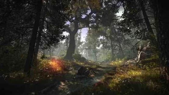 The Witcher 2: Assassins of Kings - Enhanced Edition — Screenshoty