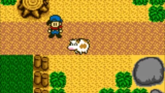 Harvest Moon GB — Screenshots