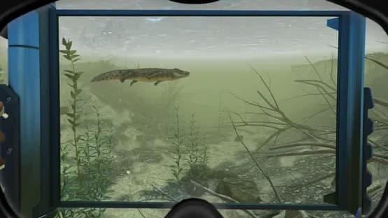 World of Diving — Screenshots