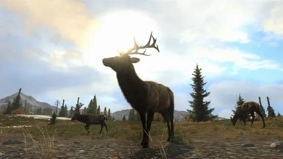 Cabela's Big Game Hunter: Pro Hunts — Screenshoty