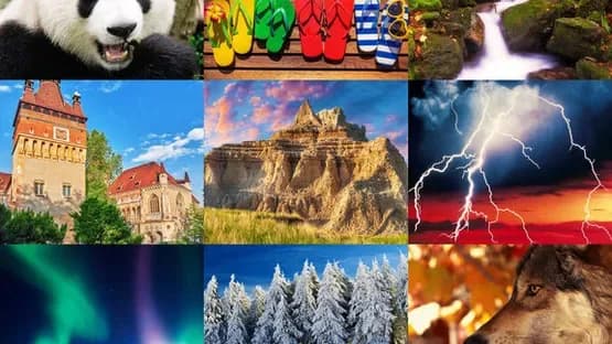 Jigsaw Puzzle Pro — Screenshoty