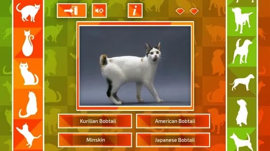 JQ: dogs & cats — Screenshoty