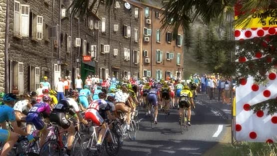 Pro Cycling Manager 2015 — Screenshoty