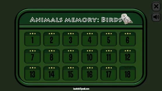 Animals Memory: Birds — Screenshots