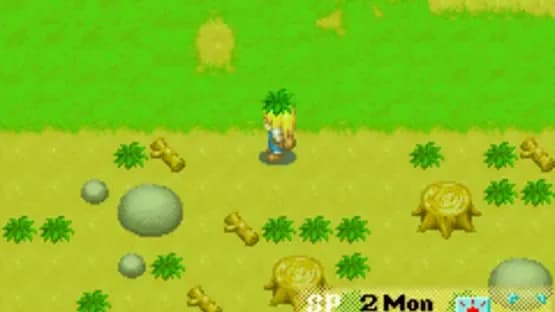 Harvest Moon: More Friends of Mineral Town — Screenshoty
