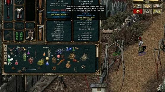 Beyond Divinity — Screenshoty