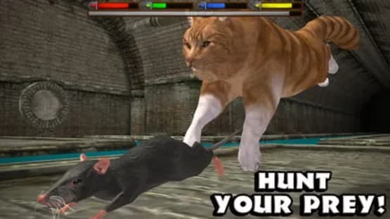 Ultimate Cat Simulator — Screenshots