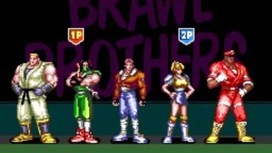 Brawl Brothers — Screenshoty