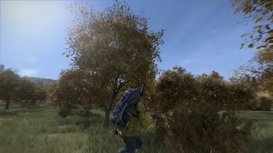DayZ — Screenshots