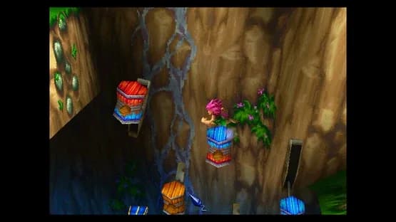 Tomba! 2: The Evil Swine Return Special Edition — Screenshoty