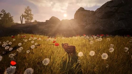 Adorable Adventures — Screenshoty
