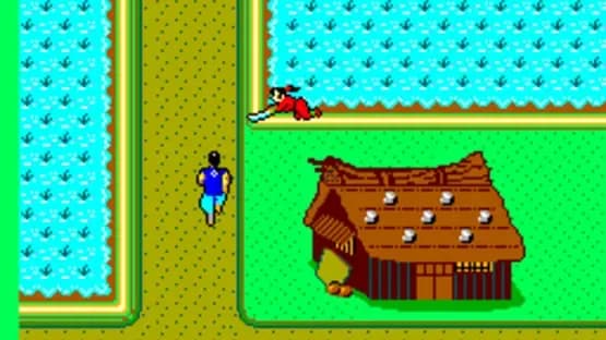 The Ninja — Screenshoty