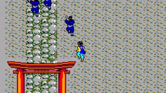 The Ninja — Screenshoty