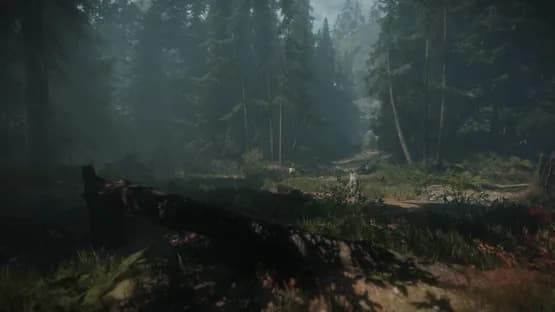 Maid of Sker — Screenshots