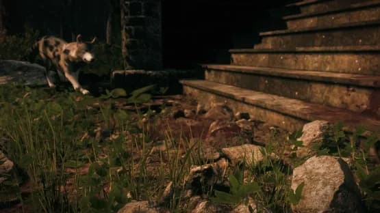Maid of Sker — Screenshots