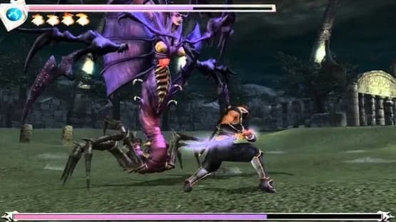 Ninja Gaiden — Screenshots