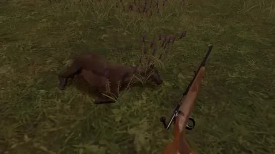 Hunting Simulator VR — Screenshots