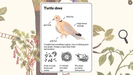 Little Mouse's Encyclopedia — Screenshots