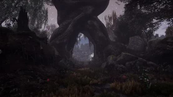 The Dead Tree of Ranchiuna — Screenshots