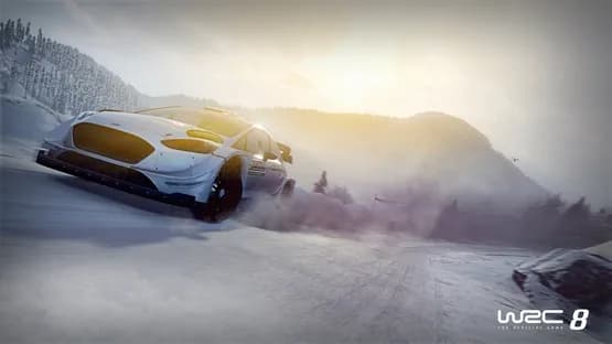 WRC 8 — Screenshots