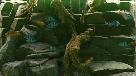Biotope: Aquarium Simulator — Screenshoty