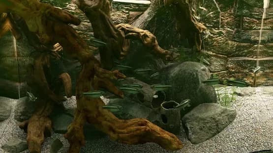 Biotope: Aquarium Simulator — Screenshoty