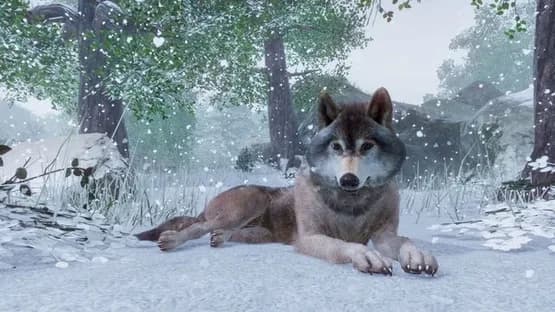 Planet Zoo — Screenshoty