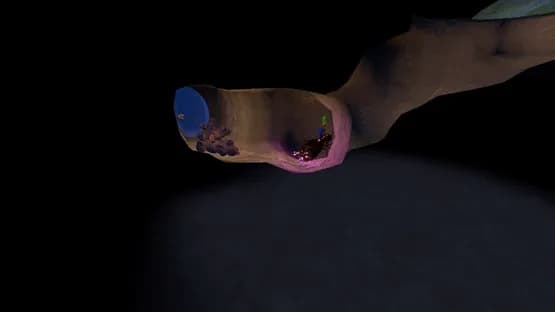 AntQueen 3D — Screenshoty