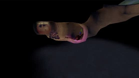 AntQueen 3D — Screenshoty
