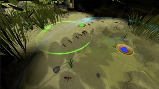 AntQueen 3D — Screenshoty
