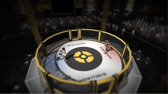 MMA Arena — Screenshoty