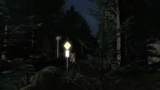 Pineview Drive: Homeless — Screenshoty