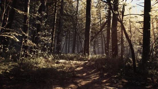 Blair Witch — Screenshoty