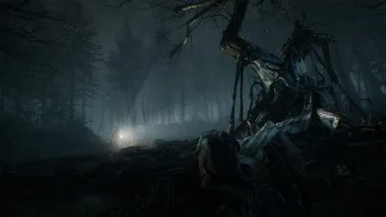 Blair Witch — Screenshoty