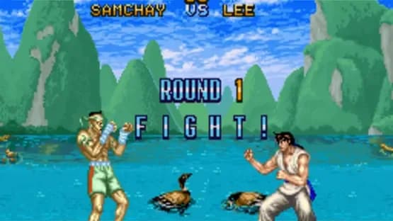 Fighter's History — Screenshoty