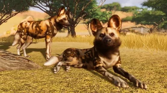 Planet Zoo — Screenshoty