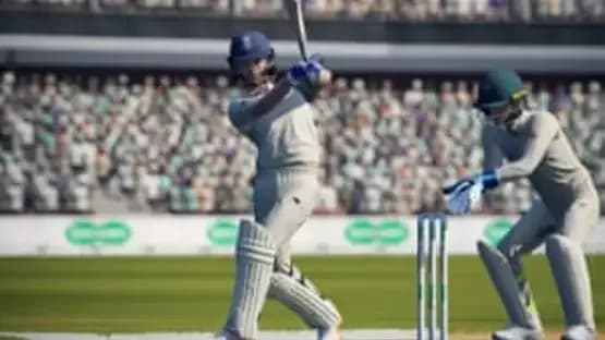 Cricket 19 — Screenshoty