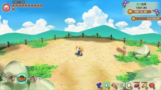 Story of Seasons: Friends of Mineral Town — Screenshoty