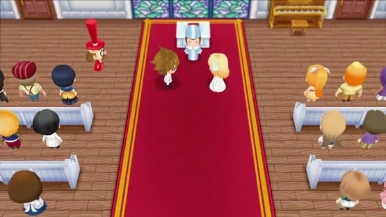 Story of Seasons: Friends of Mineral Town — Screenshoty