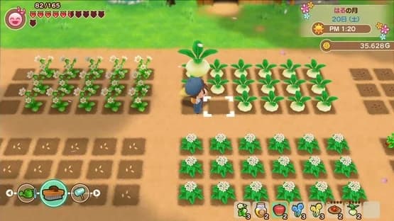 Story of Seasons: Friends of Mineral Town — Screenshoty
